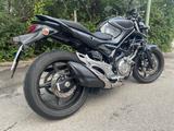 Suzuki Gladius SFV 650 ABS - Angebote