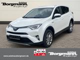 Toyota RAV 4 Hybrid Edition 2.5 LED - Bluetooth - Rückf - gebrauchte Toyota RAV 4 aus dem Jahr 2017
