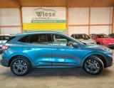 Ford Kuga 2,0  Ecoblue AWD ST-Line X,4xSHZ,IACC,HUD - Ford Kuga Jahreswagen mit Diesel-Antrieb