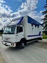 Mercedes-Benz 814 *Pferdetransporter* 
