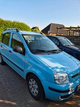 Fiat Auto - Pkw / Fiat Panda 2011 / 180.000km T... - Fiat: 0 A Km