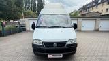 Fiat Ducato/Whonmobile/Klima/AHK/ - Wohnmobile bis 6.000 Euro