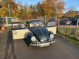 Volkswagen VW Käfer Bj. 1953 - Liebhaberfahrzeug - Reimport - Reimport gebraucht