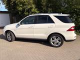 Mercedes-Benz ML 350 4MATIC - Nur 112k km | HU NEU ohne Mängel - Mercedes-Benz Mae