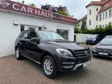 Mercedes-Benz ML 250 CDI BlueTec 4MATIC /Panorama/Totw./Distro - Mercedes-Benz ML 250 aus 2015