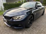 BMW 425d Cabrio Luxury Line 148tkm CarPlay Kamera - BMW 425 Gebrauchtwagen
