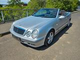 Mercedes-Benz CLK 200 Cabriolet#KLIMA/5GANG/HU/AU JUNI 2028# - gebrauchte Mercedes-Benz CLK 200 aus dem Jahr 1998