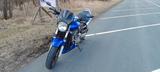 Honda 900 Hornet  - Offers