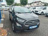 Ford EcoSport Trend - Ford EcoSport: Kleinwagen