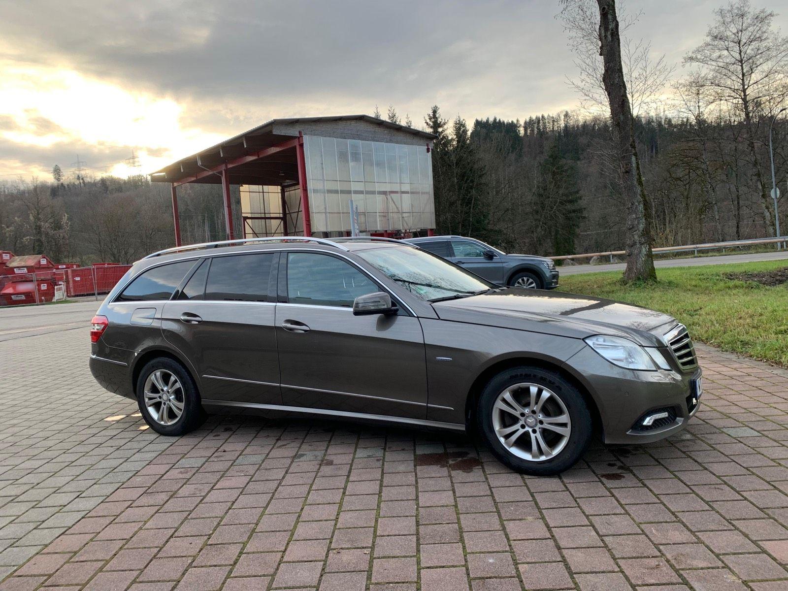 Mercedes-Benz E220 2010 — rear view