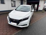 Nissan Leaf 150 PS 40KWH TEKNA Weiß - Nissan Leaf aus 2023