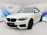 BMW 218i Cabrio RFK HIFI LENKRADHZ LORDOSE LED SHZ - BMW 218 aus 2021