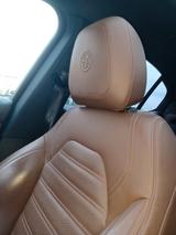 Alfa Romeo Stelvio 2.0 Turbo 16V 206kW Super AT8-Q4 Super - Alfa Romeo Stelvio aus 2018
