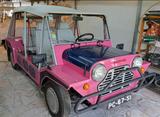 MINI 1988 Mini Moke Portuguese model LHD WD - MINI: Moke