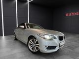BMW 218 d Advantage/Keyless-Go/Bi Xenon/Navi/HiFi/Le - BMW Gebrauchtwagen in Lüneburg