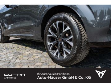 Cupra Terramar - 8