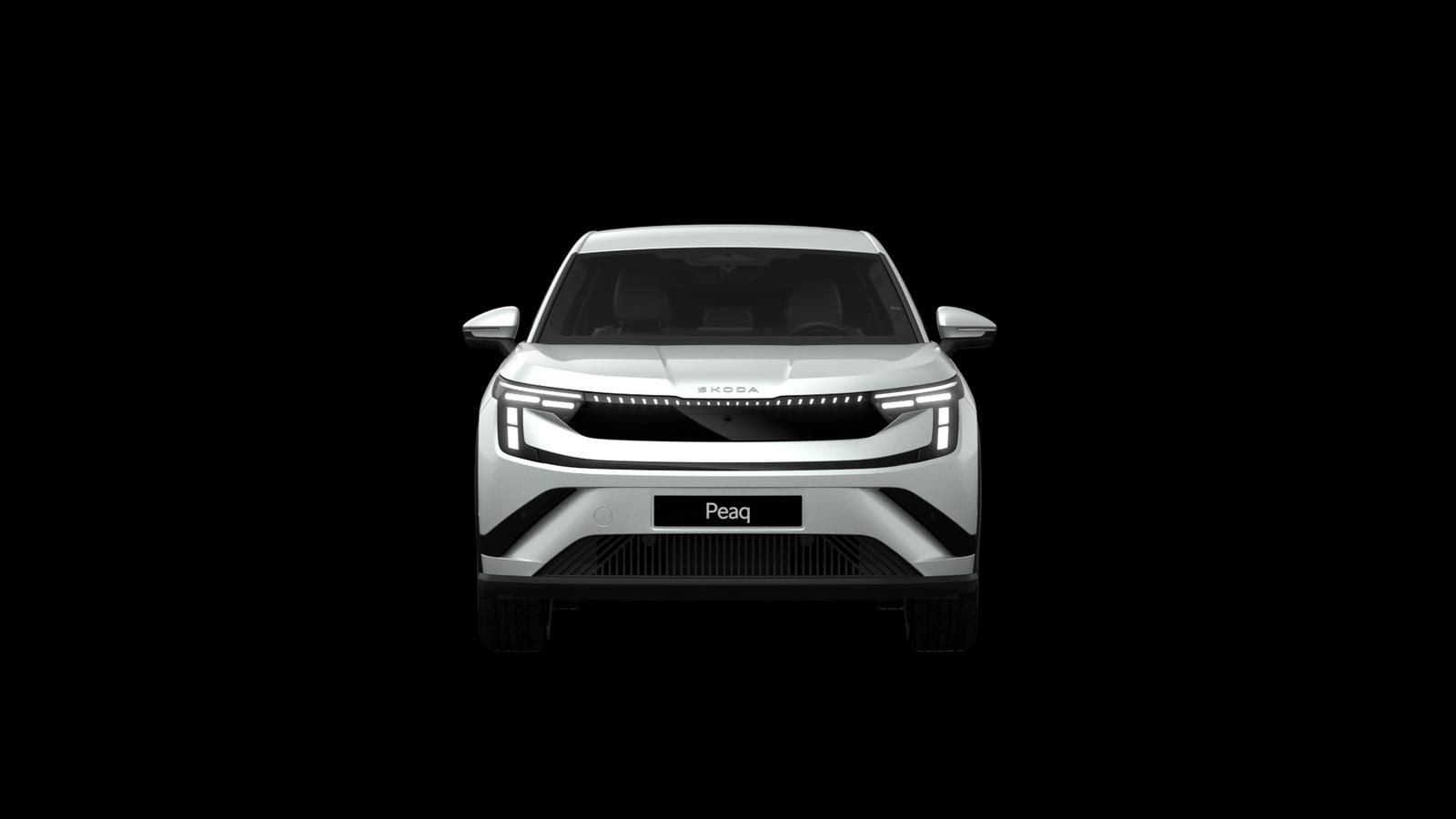 Skoda Andere - Bild 6