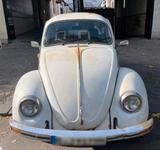 Volkswagen VW Käfer Mexico - Volkswagen: Mexico