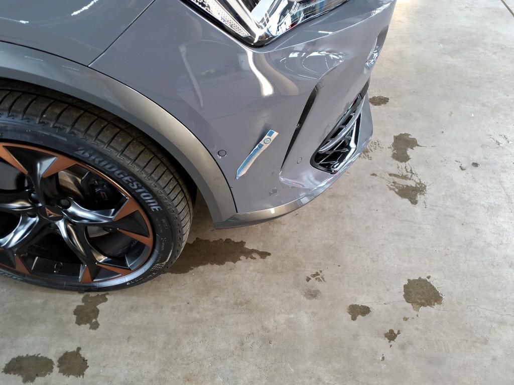 Cupra Formentor 2.0 TSI Klima*Tempo*Nav*PDC*RFK*SH