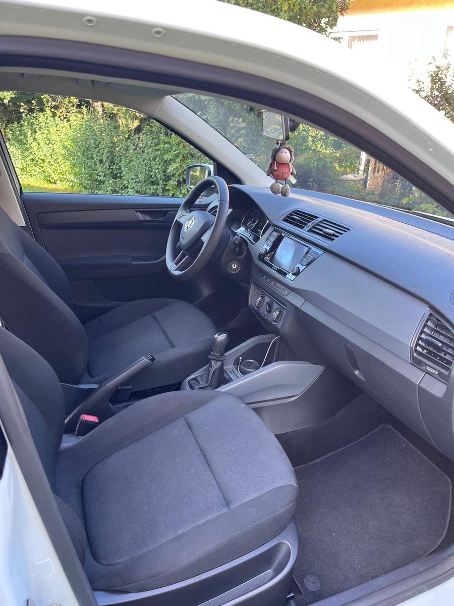 Skoda Fabia mit Sitzheizung und Apple CarPlay 