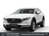 Mazda CX-30 SKYACTIV-G EXCLUSIVE-LINE+KAMERA !! - gebrauchte Mazda CX-30 aus dem Jahr 2024
