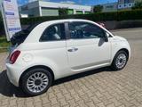Fiat 500C 1.0 MILDHYBRID DOLCEVITA  HALBLED.SITZ PA - Fiat 500C Tageszulassungen