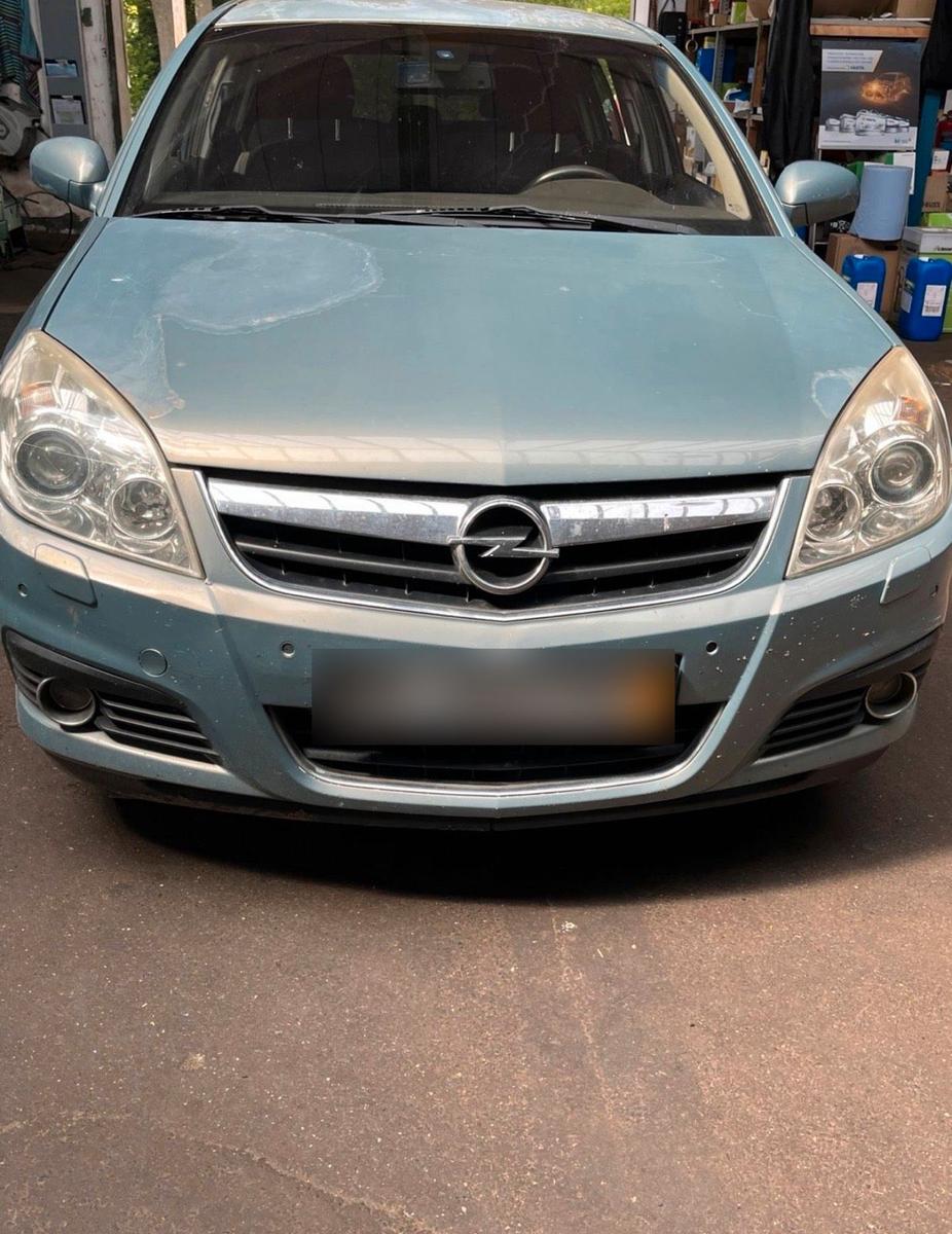 Opel Signum 2005 — photo 5