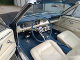Ford Mustang - gebrauchte Ford Mustang aus dem Jahr 1964