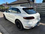 Porsche Macan GTS **MwSt ausweisbar** - Porsche Gebrauchtwagen in Hanau