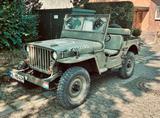 Jeep Willys - Jeep Willys von privat