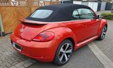 Volkswagen Beetle 2.0 TDI 81kW DSG BMT CLUB Cabriolet CLUB - Volkswagen Beetle mit Diesel-Antrieb: Cabrio