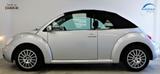Volkswagen New Beetle Cabriolet 1.4 75PS Klima SHZ Radio - Volkswagen New Beetle: 3 Türen