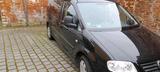 Volkswagen VW Caddy Maxi - Volkswagen Caddy Maxi aus 2009