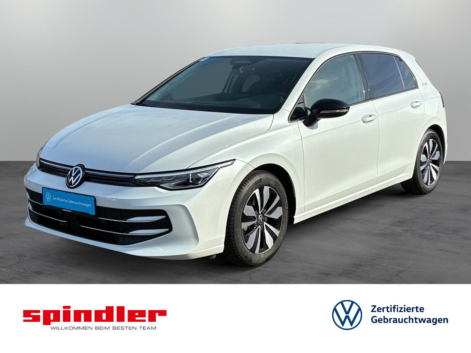 Volkswagen Golf VIII Goal 1.5 eTSI DSG / Matrix, Navi, AHK