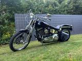 Harley-Davidson FXSTS  Softail Springer - HARLEY-DAVIDSON FXSTS