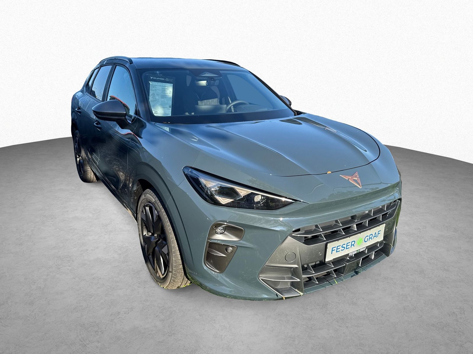 Cupra Terramar - Bild 3