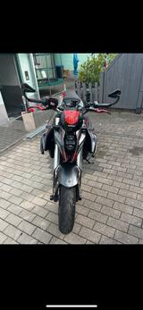 Suzuki GSX 8S - Offers matching your search criteria