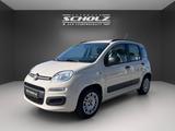 Fiat New Panda MY 1.2 8V 51kW - Fiat New Panda: Kleinwagen