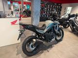 Honda XL750 Transalp E-Clutch *Tageszulassung 08-26* - HONDA TRANSALP