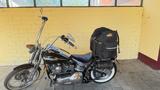 Harley-Davidson FXSTS mit Springergabel - HARLEY-DAVIDSON 1995