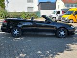 Saab 9-3 Cabriolet 2.0 T Vector*KLIMAAUTO*LEDER*XENON - Saab 9-3: 3x