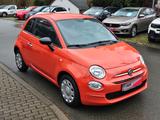 Fiat 500 1,0 Cult - Fiat 500: Cult
