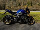 Yamaha FZ8 Naked Bike - Offers matching your search criteria