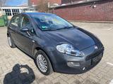 Fiat Punto 1.2 8V MYSTYLE/Klima/4 Türen/wenig KM/GJR - Fiat Punto: Mystyle