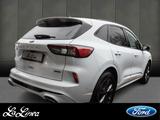 Ford Kuga ST-Line X Plug-In Hybrid Aktionspreis - Ford: Aktion