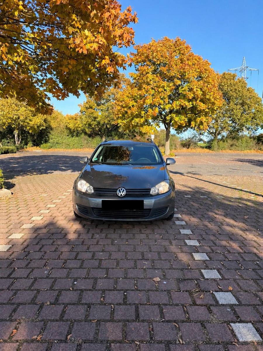 Volkswagen Golf 2010 — rear view