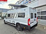 Fiat CV640 pro+*Aufstelldach*Optik Paket 1&2*Navi/Kam - Fiat Neu Kastenwagen