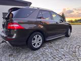 Mercedes-Benz ML 350 BlueTEC 4MATIC AMG LUFT AHK 07/28 - Mercedes-Benz: 3.0