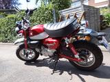 Honda Monkey 125, unfallfrei, Garagenfahrzeug - HONDA KLEINKRAFTRAD