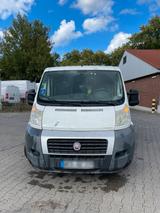 Citroën Bus - Citroën C3 Kombi Gebrauchtwagen
